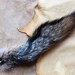 Fox tail - real eco-friendly wild gray fox fur totem dance tail on extra strong carabiner keychain GF02