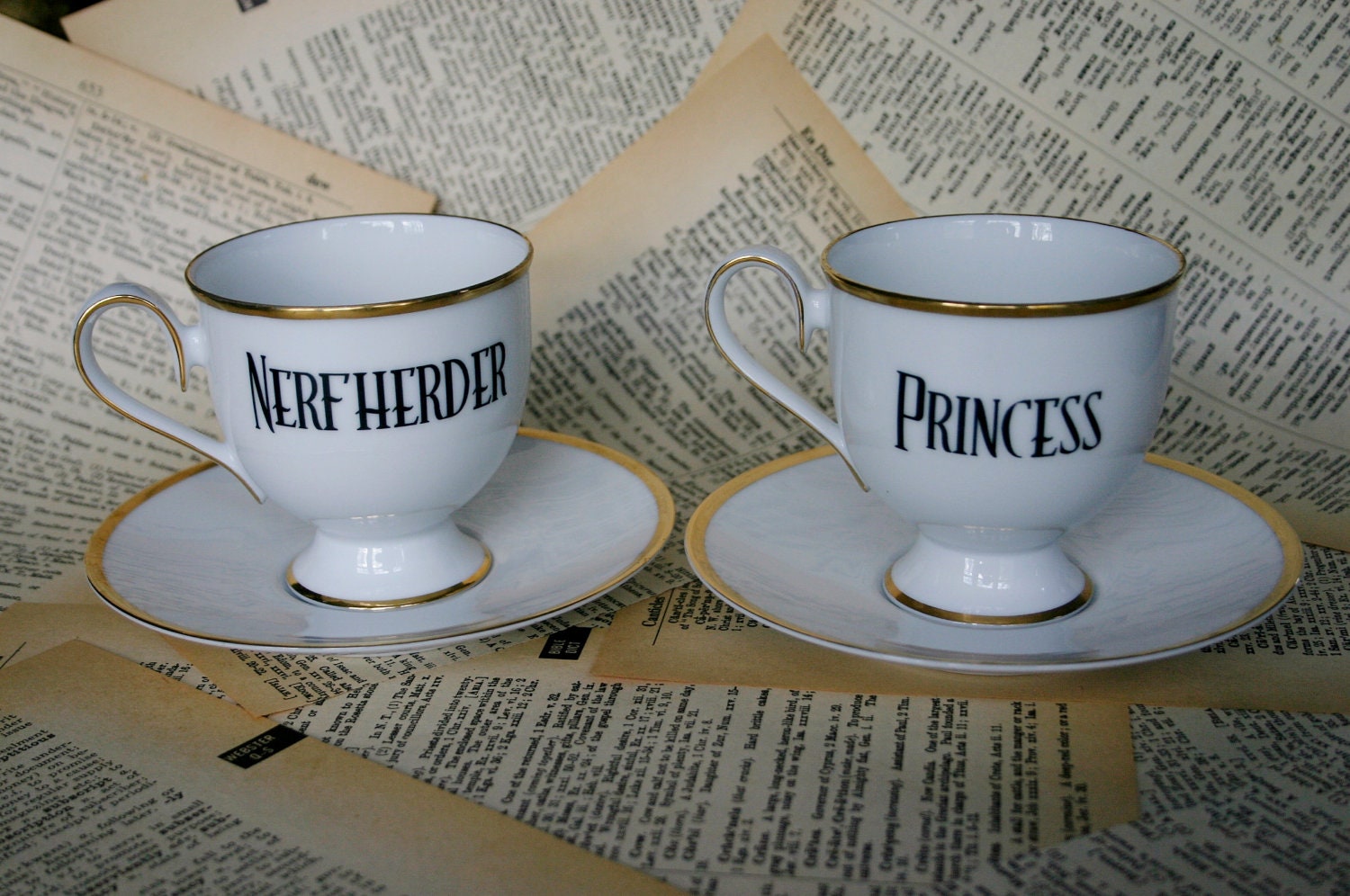 Noritake Ireland Nerfherder and Princess teacup and saucer set