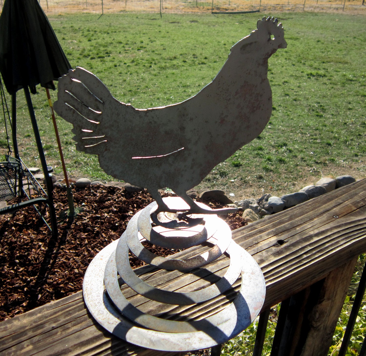 Spring Chicken-Metal Spring Art