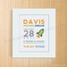 Custom Birth Announcement Print - ROCKET Wall Art