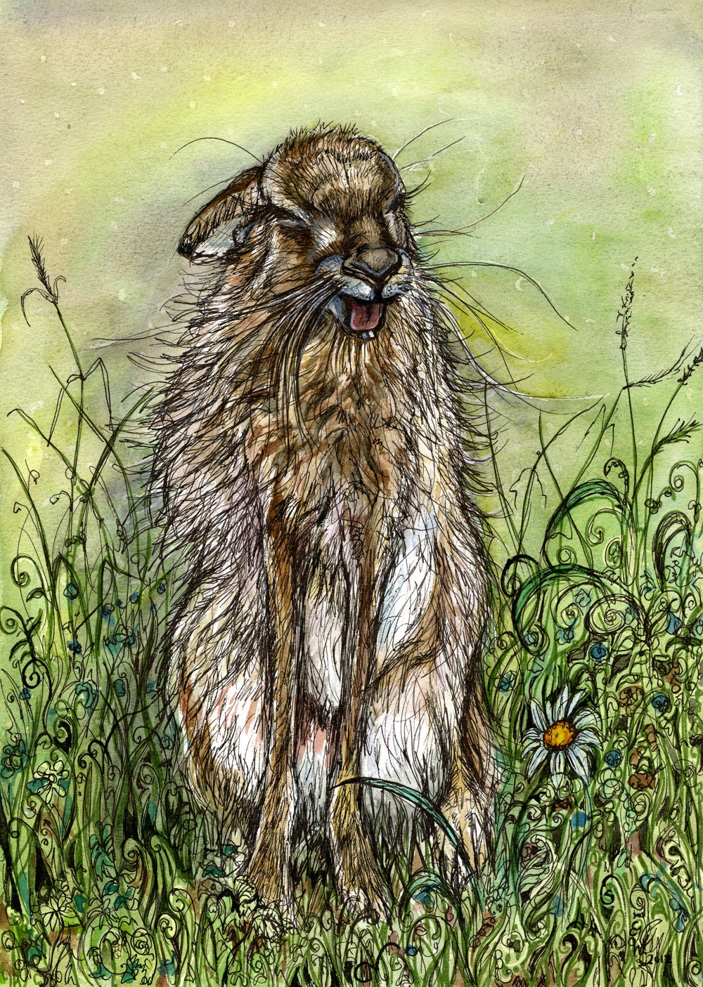 A Little Tired Hare - Hare Art Print