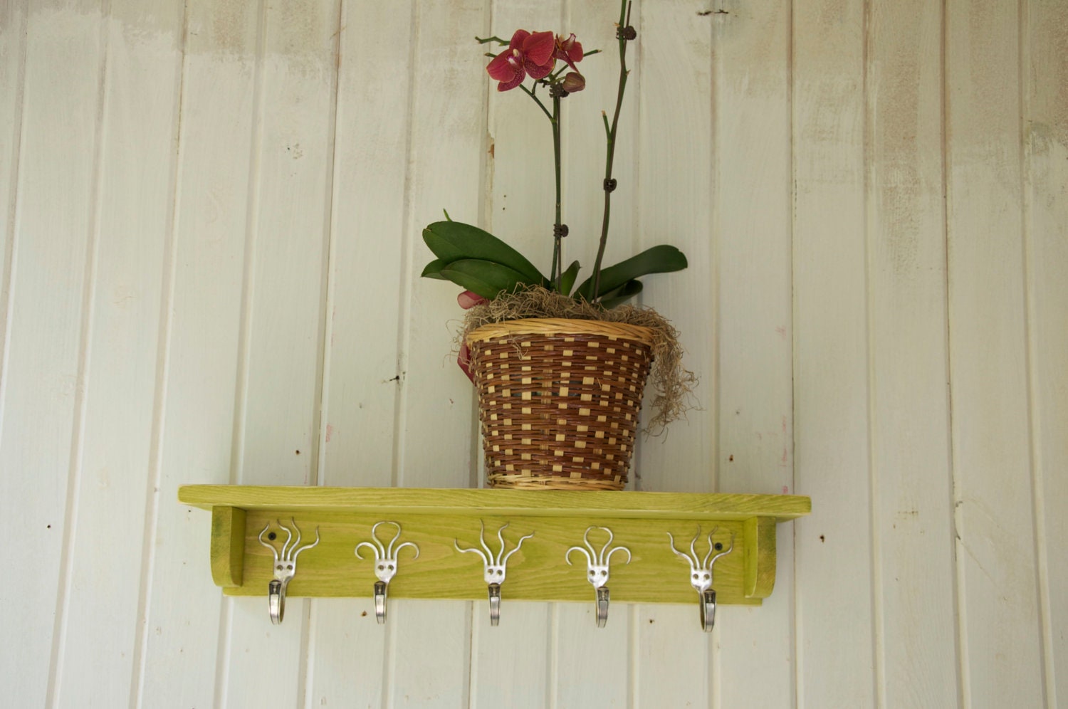 5 Fork Hook Coat Rack with Shelf in Stained Green