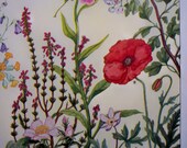 1930 Flowers, British Wild Flowers,  plants, Vintage botanical print