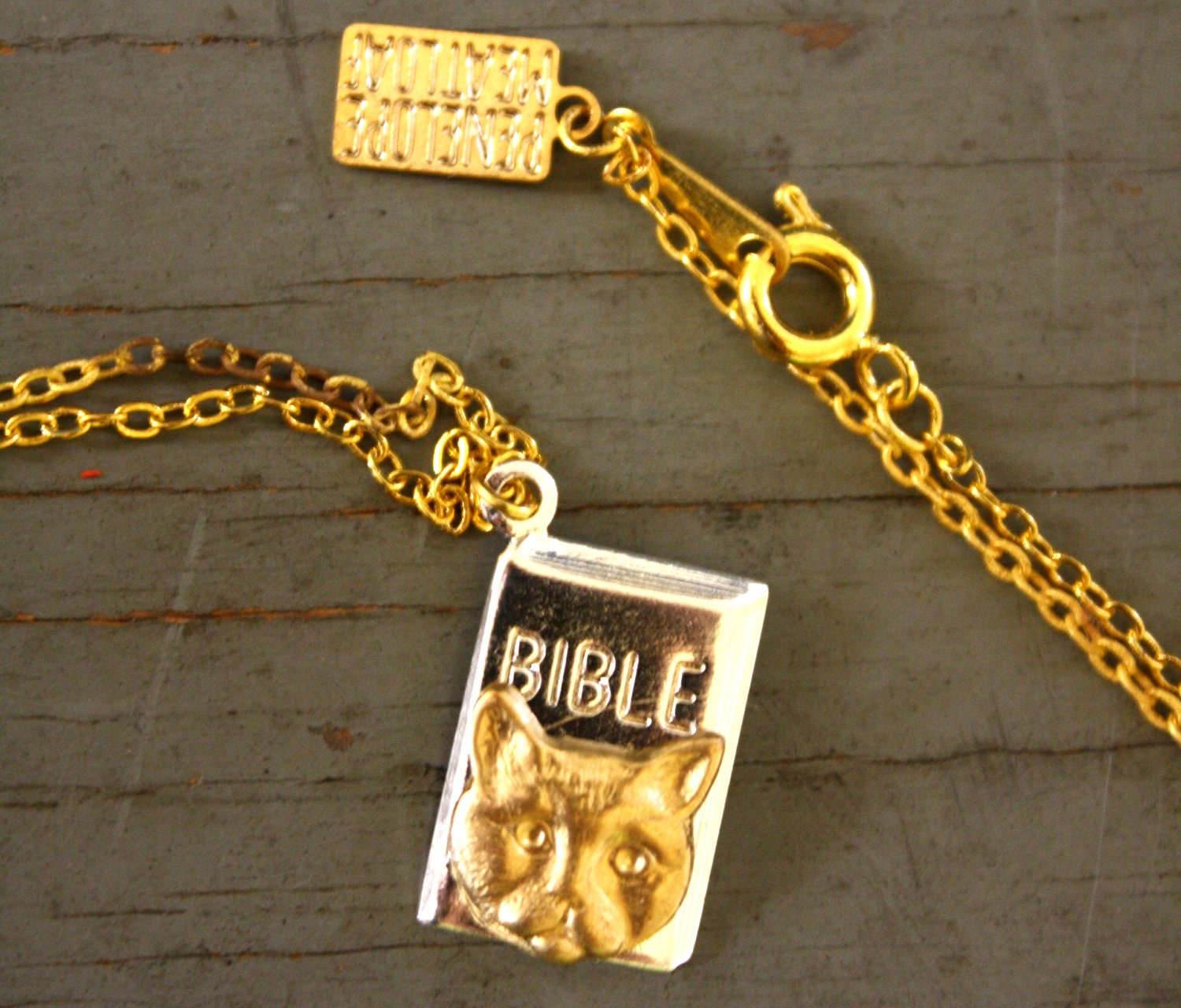 Cat Bible Necklace OOAK