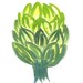 Artichoke Painting