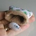 Guinea pig felt plush in baby carrot print snuggle bag play set