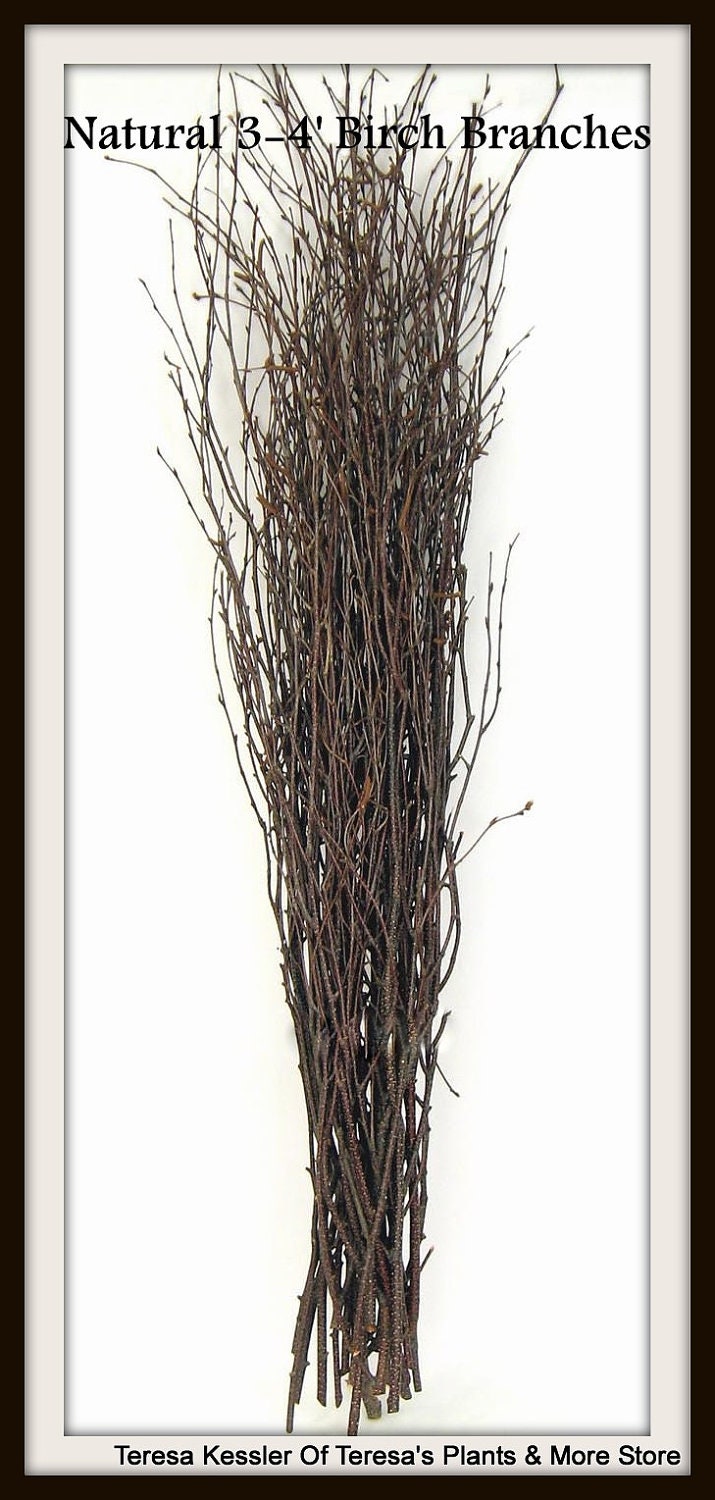 25 Natural Birch tree branchesWedding table decorBirch branch decor