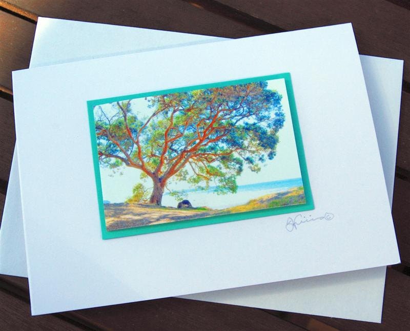 Gift card 3D photo - tree on beach in summer - birthday - thank you - any occasion nature print