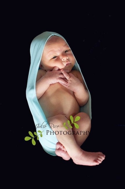 Robin's Egg Wee Womb Cocoon Photo Prop Egg - Used In Professional Photography of Newborn, Infant Portrait Sessions