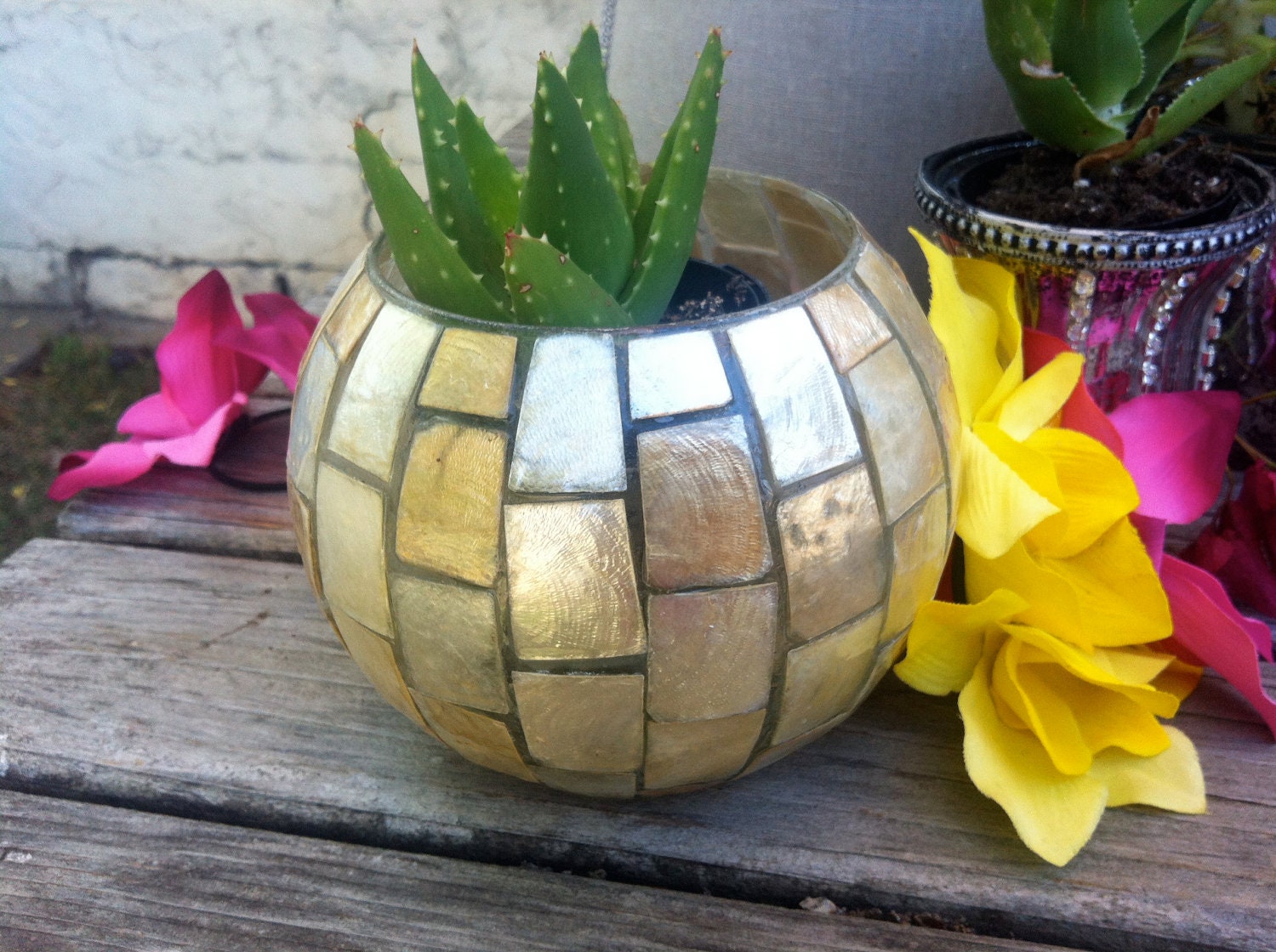Planted Succulent in Large Glass Votive with Mother Of Pearl Mosaic Accent