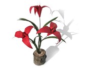 Origami Plant - Lilium Biblisi Special Edition