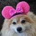 Mini mouse hat for dog of cat