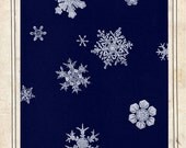 Snowflakes Photo Collage - Blue and White Night Sky - Ethereal Winter Print - Elegant Mixed Media Snow Art Print - Nature Cyanotype