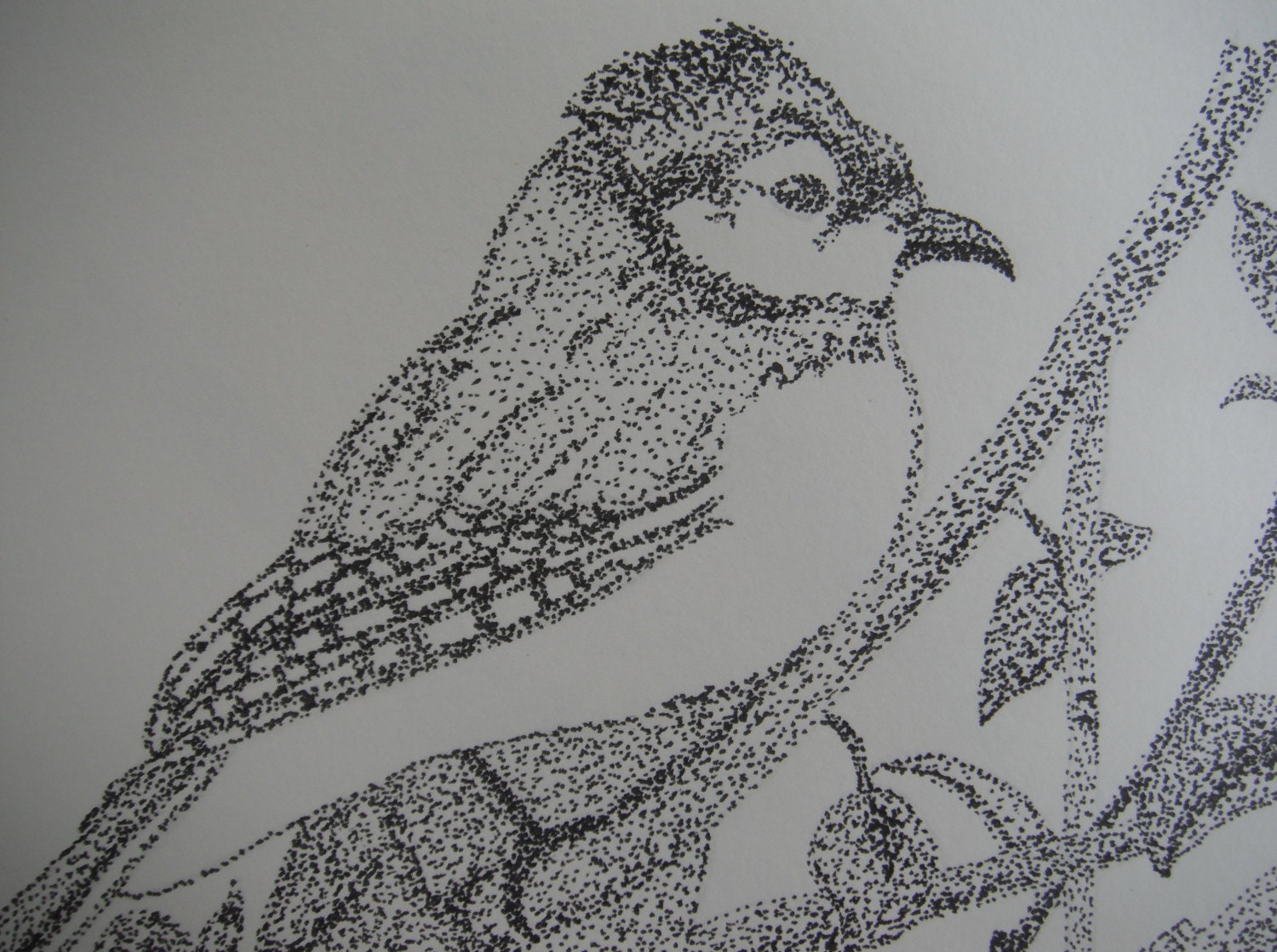 Black and White Bird on a Branch Original Illustration