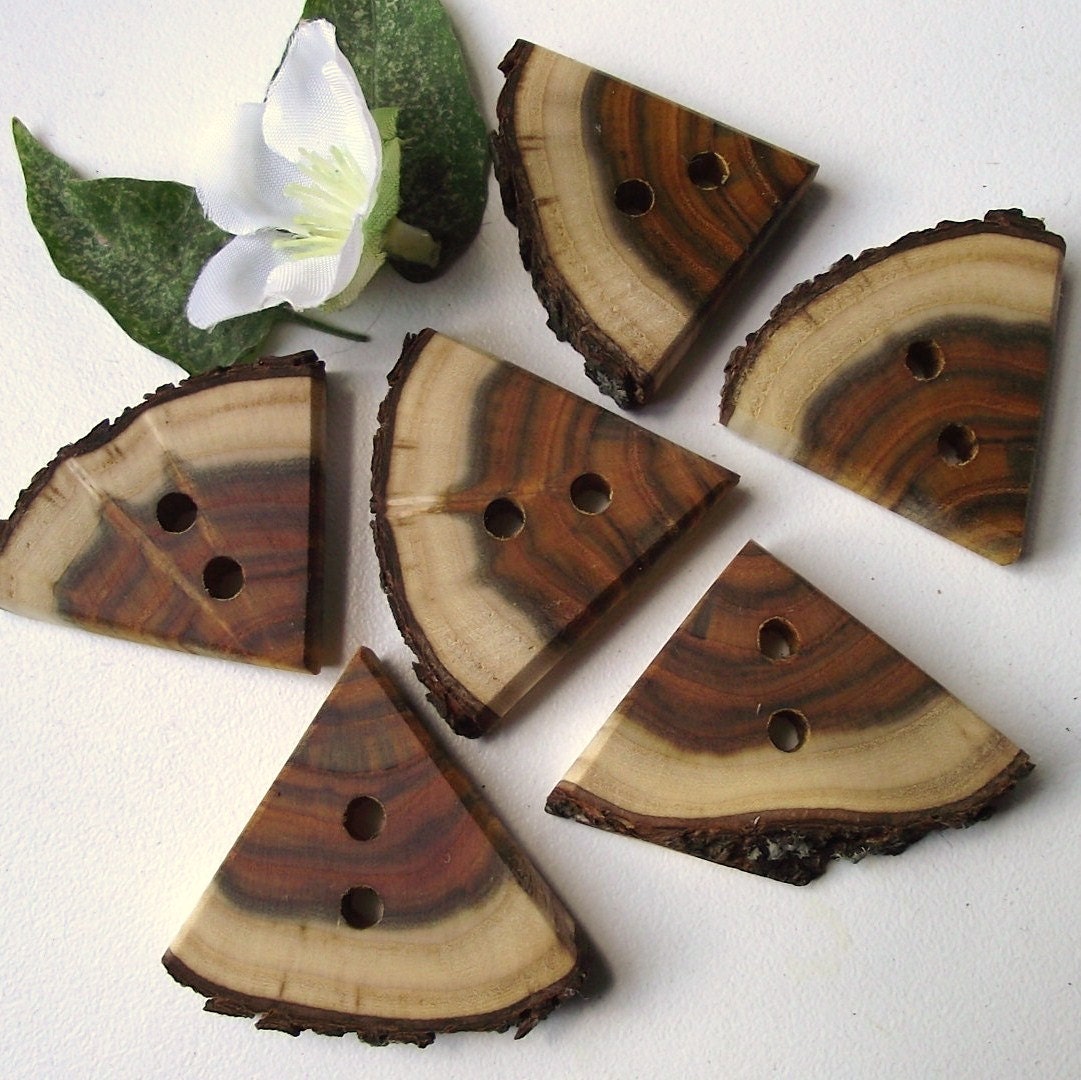 Wood Tree Branch Buttons - 6 Natural Wood Triangle Buttons - 1 1/2 x 1 1/4 inches, 2 holes, Perfect for Fiber Artists, Journals, Purses