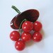 Bakelite Cherry Brooch and Earrings, Book Piece