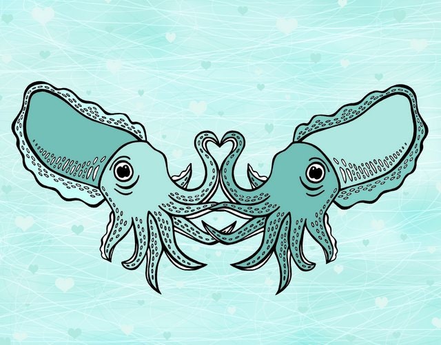 Valentine's Day - Let's Cuttle - Two Turquoise Blue Green Cuttlefish Cuddling 8 x 10 Art Print -  Tentacle Heart - Sea Life Art - Love