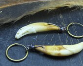 From the strife of howling wolf tongues. Wolf canine teeth, and tiny brass hoop earrings
