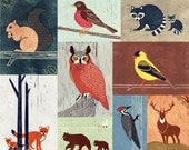 Woodland Animals, Birds, Owl, Fox, Raccoon, Squirrel, Robin, Bear, Woodpecker, Colorful Collage Linocut Illustration Art Print 12 x 16
