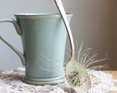 Air Plant, Tillandsia, In Old Spoon, Upcycled Eco Gift Idea