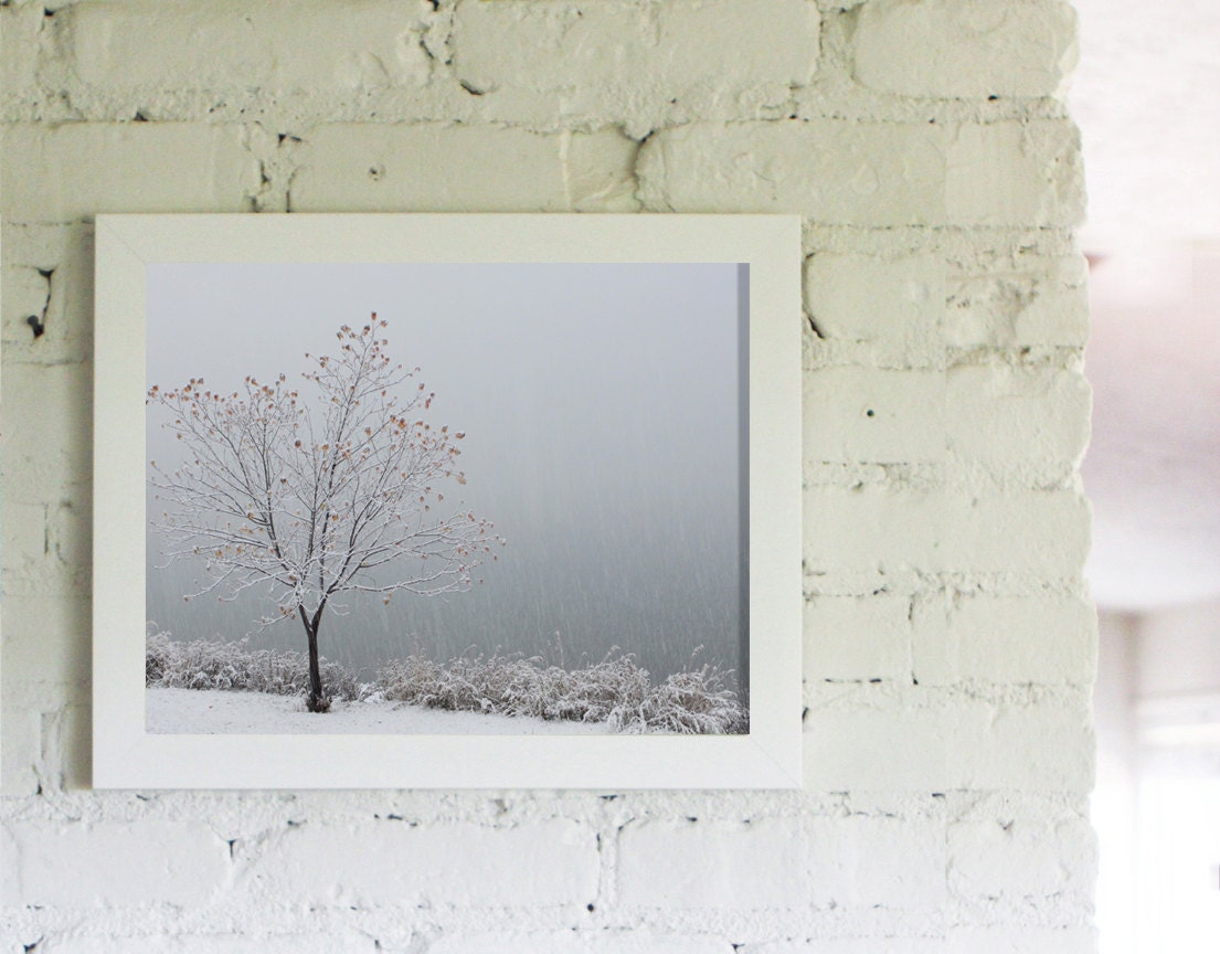 Nature Photography Landscape Photography Nature Photography Zen Wall Art Silver Metallic 11x14