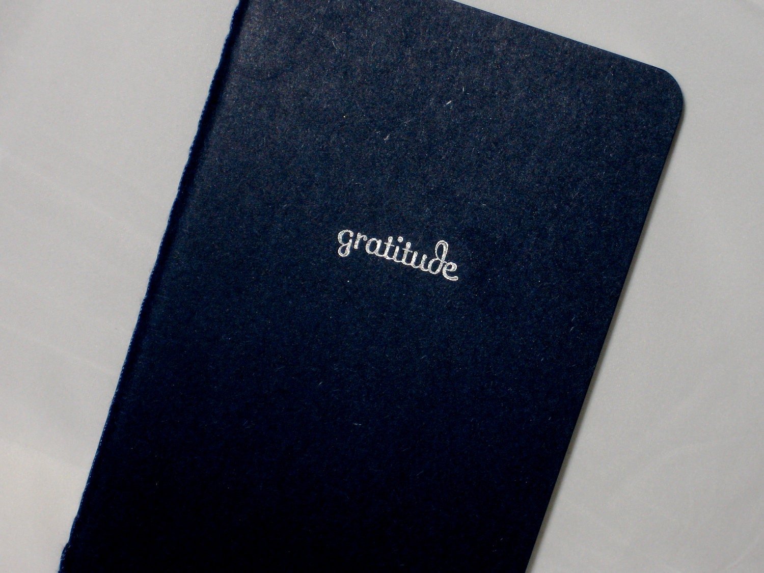 Gratitude Journal (Moleskine)