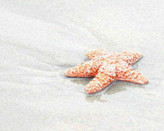 starfish print, coral wall art, coastal decor, starfish photography, beach decor, nautical decor, coral and grey art, fine art print