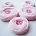 Pink Chiffon Roses Handmade Appliques Embellishments(5 pcs)