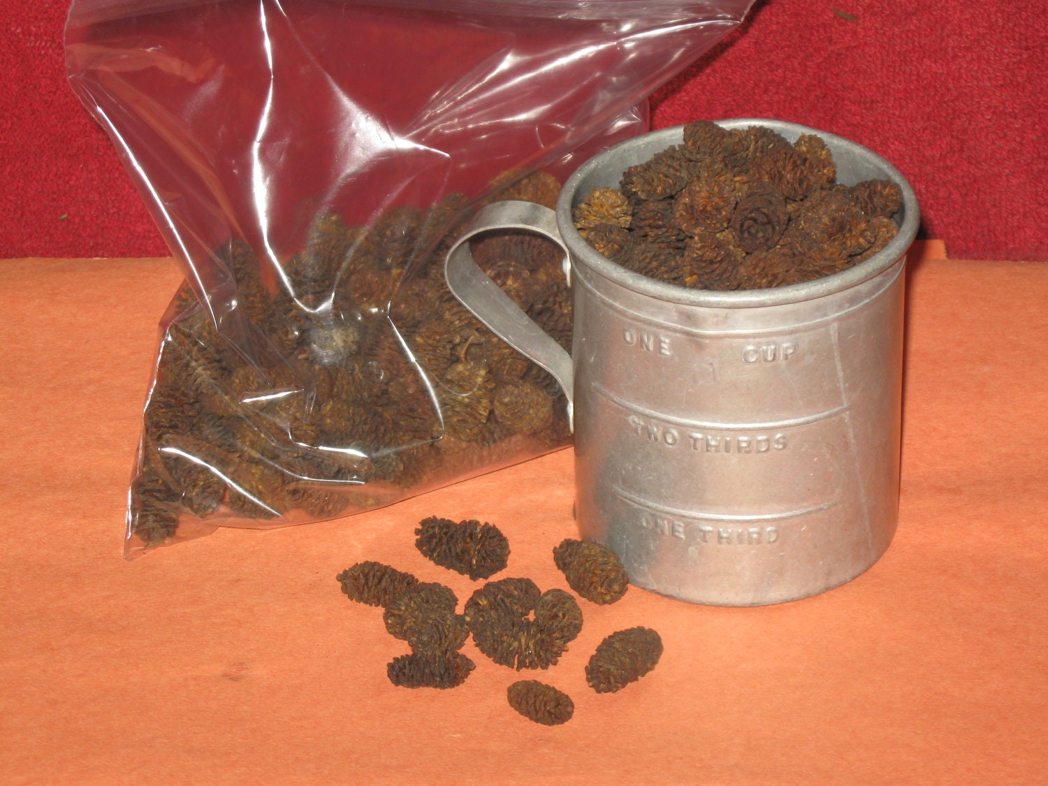 Miniature Aspen Pinecones Lots