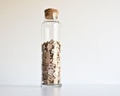 Glass & Cork Storage Jar