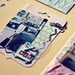 20 Book Line Markers - Bugs & Flowers