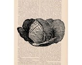 dictionary art vintage CABBAGE print - vintage art book page print kitchen decor