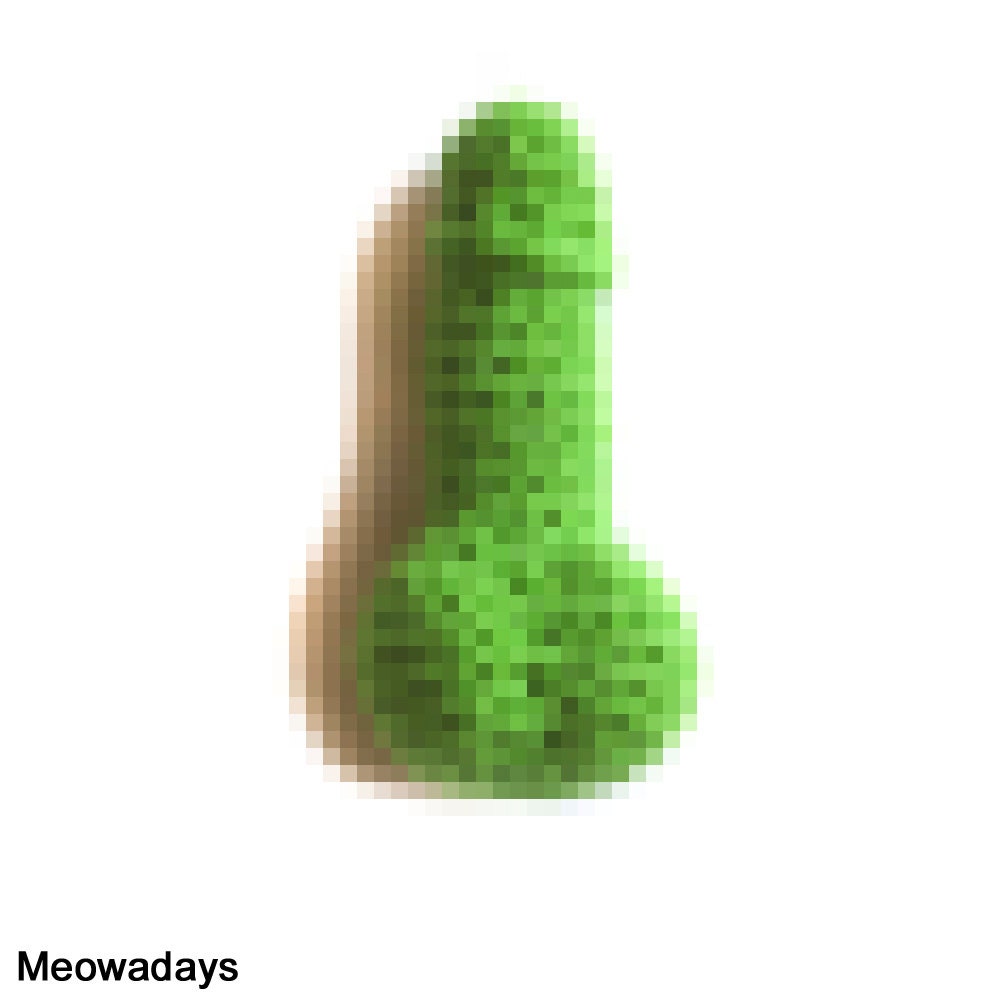 CAT TOY PENIS bright green weird funny cat toys catnip cat nip mature