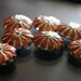 SALE Orange peels in a silver dream with a green center - Floral Cloisonne beads (7)