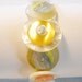Yellow and White Button Bracelet
