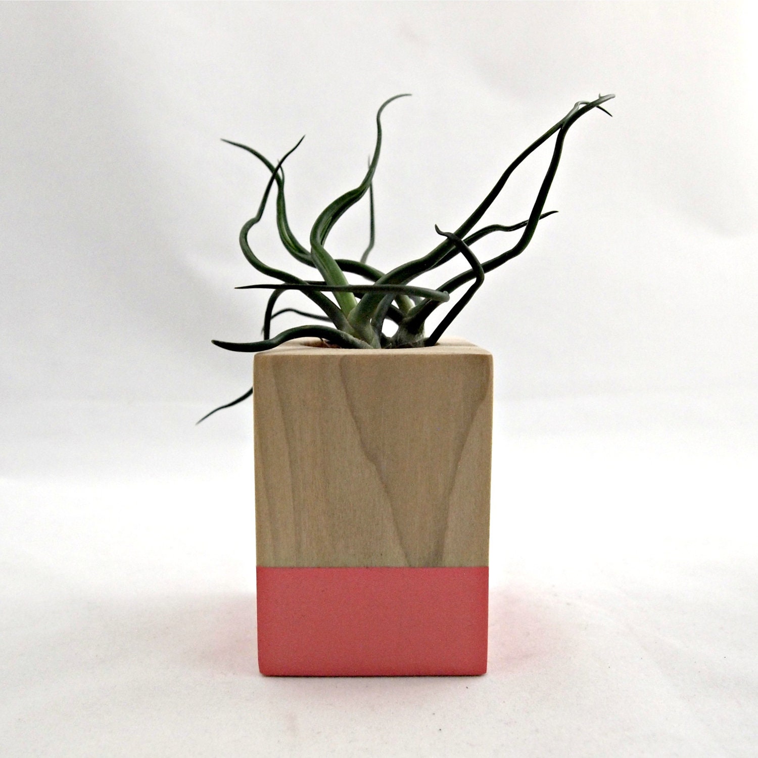Coral // Wood Air Plant Cube Planter - Bulbosa // Plant Container // Modern // Home and Garden // Gifts under 35