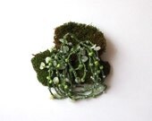 Necklace / lariat / wrap / bracelet - cotton moss pine green semipreciouse unakite, jade beads, glass beads - eco fashion crochet chain