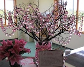 Wishing Tree Pink