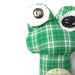 Fritter the ugly frog