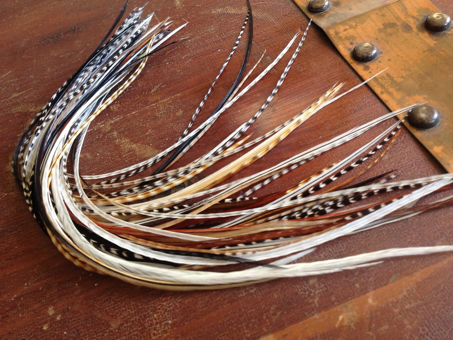 SALE 25 Salon Feather Hair Extensions in earthy, grizzly, and Long natural hair feathers for feather extensions Wholesale Priced