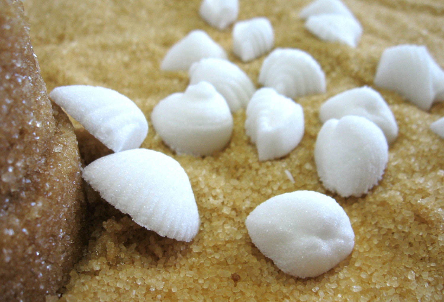 White Sea Shell  Seashell Shaped Sugar Cubes 3 Dozen Assorted Shapes Rustic Beach Wedding Favors or Bridal Shower Decor