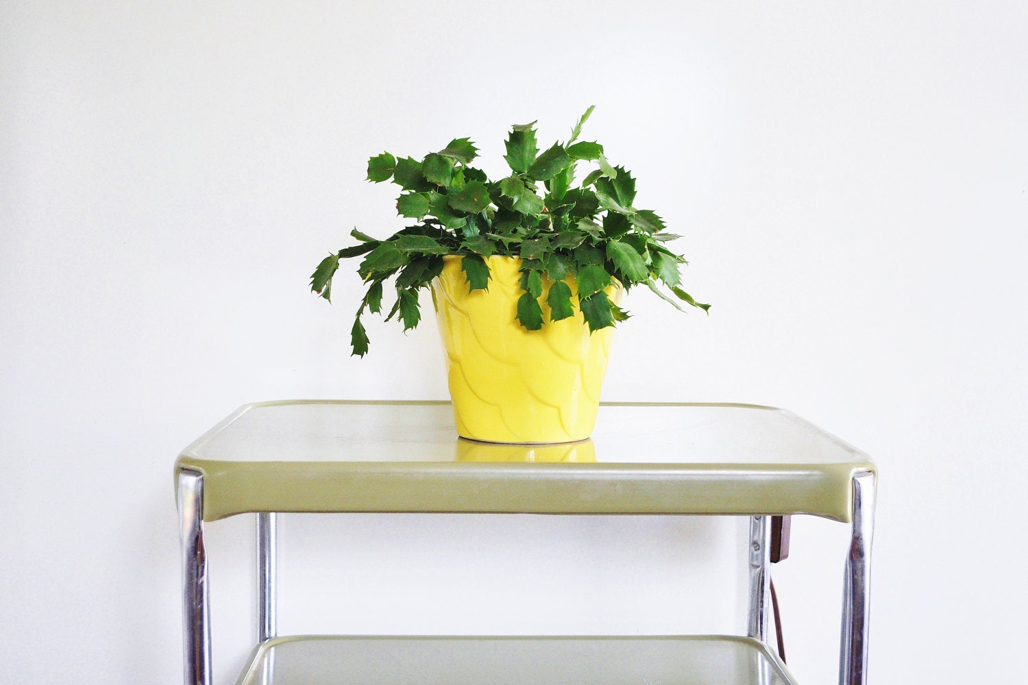 Olive Green Electric Kitchen Cart