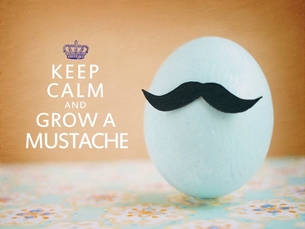 Keep Calm and Grow A Mustache. Fine Art Photography. Humor Print. Blue Egg. Size A4