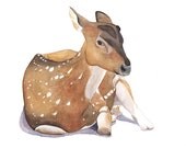 Deer Painting - print of watercolor painting - 5 by 7 print