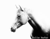Horse Photography Black and White Abstract Horse Photo - jrefer