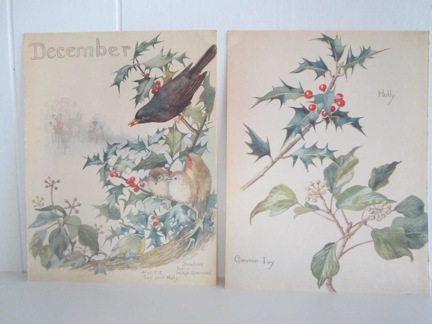 Holly December Christmas watercolors vintage book pages set of 2 frameable month of december holly bird two sided