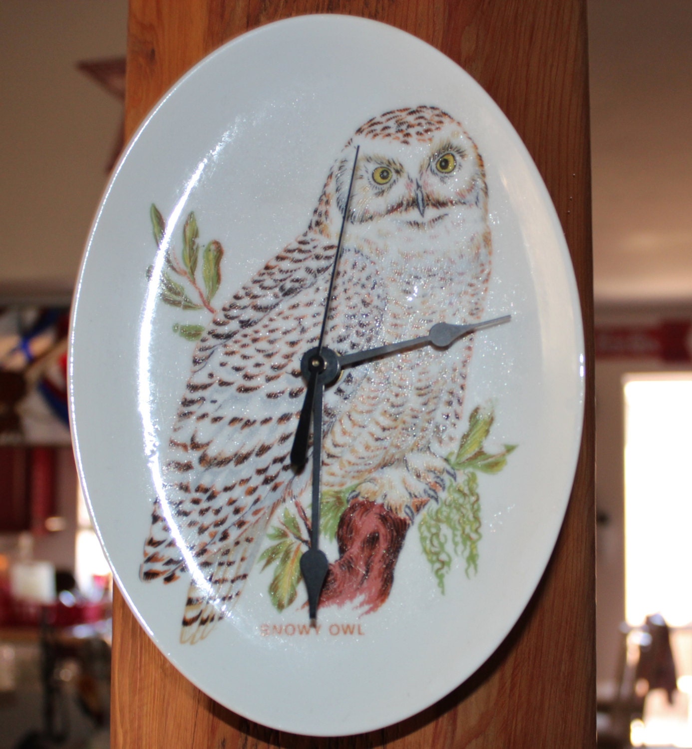 Vintage Owl Clock Oval Plate