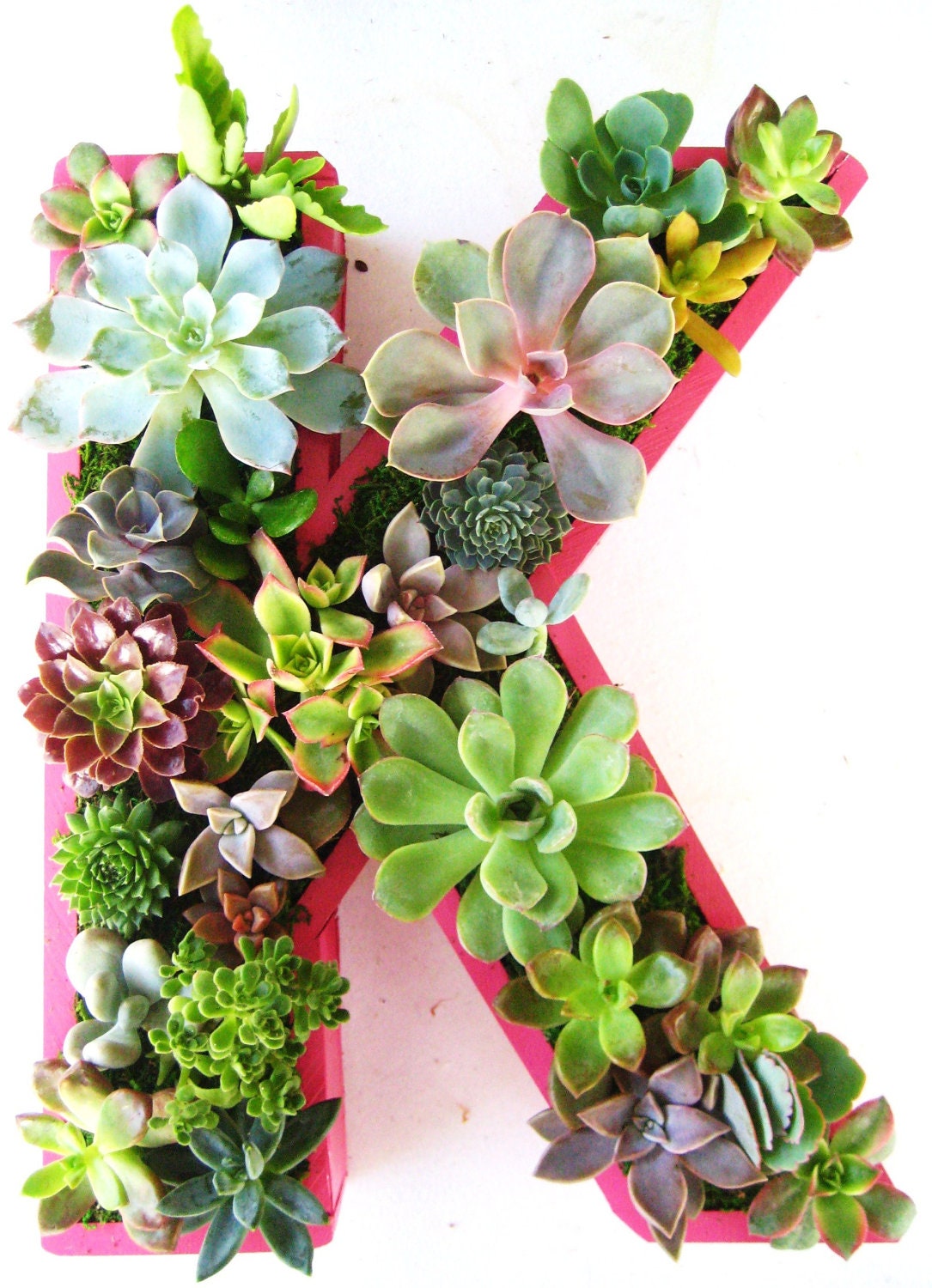 Succulent Monogrammed Planter Box As Seen In Southern Living Christmas at Home