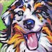 Australian Shepherd art print modern Dog art print blue merle aussie pop dog art bright colors 8x8 inch