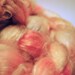 50/50 SW Merino/Tencel Spinning Fiber "Give Thanks" 4.2 oz